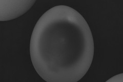 005_
